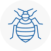Bed Bug Extermination In Donnington
