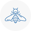 Bee Nest Removal Donnington