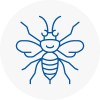 Donnington Hornet Nest Removals