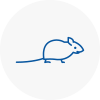 Mice Exterminators In Donnington