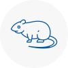 Rat Control Donnington