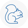 Donnington Rodent Removals