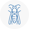 Donnington Wasp Nest Removal
